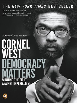 cover image of Democracy Matters